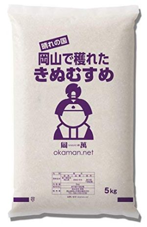 米 お米 令和6年産 5kg きぬむすめ 岡山県産 (5kg×1袋) 米