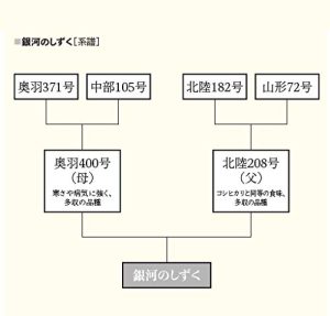 パールライス 岩手県産 白米 銀河のしずく 5kg 令和6年産 - 画像 (6)