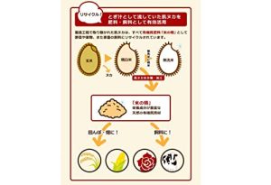 by Amazon 【精米】 北海道産 鮮度保持 無洗米 ななつぼし 5kg 農薬節減米 令和6年産 (Happy Belly) - 画像 (2)