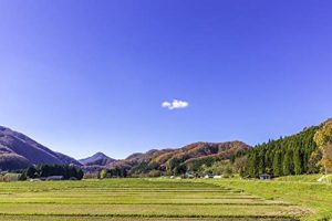 パールライス 宮城県産 白米 ひとめぼれ 5kg 令和6年産 - 画像 (3)