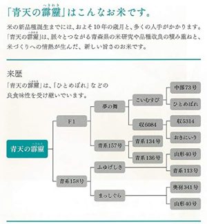 パールライス 青森県産 白米 青天の霹靂 5kg 令和6年産 - 画像 (5)
