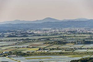 パールライス 宮城県産 白米 ひとめぼれ 5kg 令和6年産 - 画像 (4)