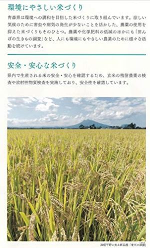 パールライス 青森県産 白米 青天の霹靂 5kg 令和6年産 - 画像 (4)