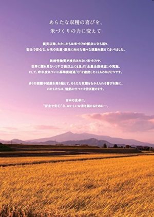 パールライス 令和6年産 福島県産 白米 天のつぶ 5kg 令和6年産 - 画像 (3)