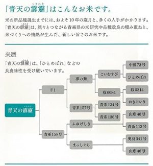 パールライス 青森県産 無洗米 青天の霹靂 3kg 令和6年産 - 画像 (5)