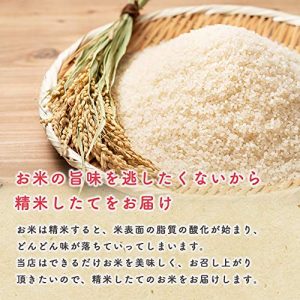 【無洗米】米 10kg 令和6年産 秋田県産 あきたこまち 厳選米 (5kg×2袋) - 画像 (7)