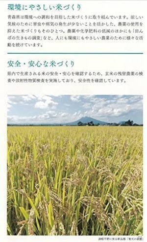 パールライス 青森県産 無洗米 青天の霹靂 3kg 令和6年産 - 画像 (4)