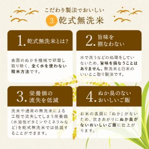 野沢農産 お米 米 無洗米 長野県産 風さやか 令和6年産 (10kg(5kg×2袋)) - 画像 (4)