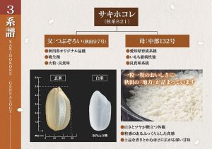 パールライス 秋田県産 白米 サキホコレ 5kg 令和6年産 - 画像 (3)