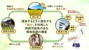 by Amazon 令和6年産 会津産 無洗 精米 コシヒカリ 5kg 令和6年産 - 画像 (3)