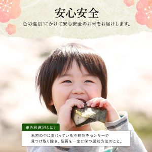 野沢農産 米 新潟県 魚沼産コシヒカリ 令和6年産 (5kg, 無洗米) - 画像 (3)