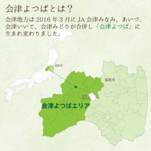 by Amazon 令和6年産 会津産 無洗 精米 コシヒカリ 5kg 令和6年産 - 画像 (6)