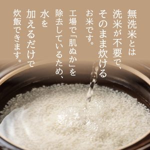 by Amazon 無洗米 新潟岩船産 コシヒカリ (Happy Belly) 5kg 令和6年産 - 画像 (2)