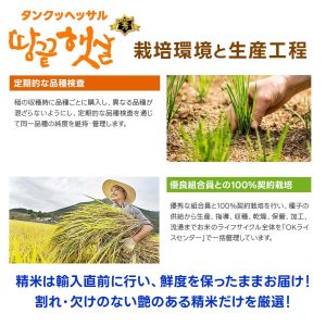 韓国産 お米 4キロ(4kg×1袋) 精米 令和6年産 白米 セチョンム種 韓国農協 もちっとした食感、つや、粘り - 画像 (5)