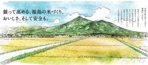 パールライス 令和6年産 福島県産 白米 天のつぶ 5kg 令和6年産 - 画像 (4)