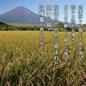 by Amazon 秋田県産 白米 あきたこまち 5kg 令和6年産 - 画像 (3)