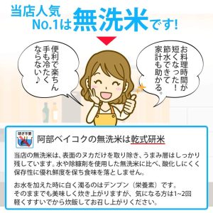 【精米 無洗米】 はえぬき 10kg (5kgx2袋) 山形県産 令和6年産 米 - 画像 (4)