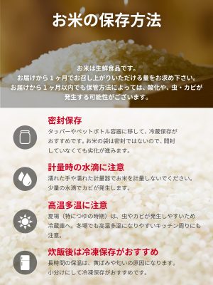 野沢農産 米 コシヒカリ 令和6年産 長野県産 (5kg, 通常精米) - 画像 (4)