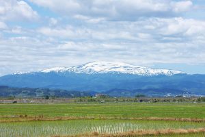 by Amazon 山形県産 白米 つや姫 5kg 令和6年産 - 画像 (4)