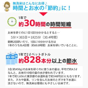 【精米】 無洗米 10kg (5kgx2袋) こつぶ姫 国内産 白米 - 画像 (2)