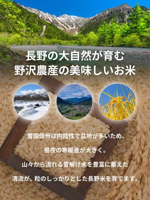 野沢農産 米 コシヒカリ 令和6年産 長野県産 (5kg, 通常精米) - 画像 (3)