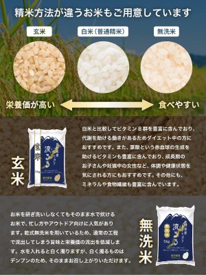 野沢農産 米 コシヒカリ 令和6年産 長野県産 (5kg, 通常精米) - 画像 (2)