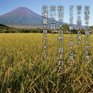 by Amazon 秋田県産 あきたこまち 無洗米 5kg 令和6年産 - 画像 (4)
