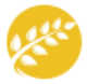 おいしい丼はおいしい米から